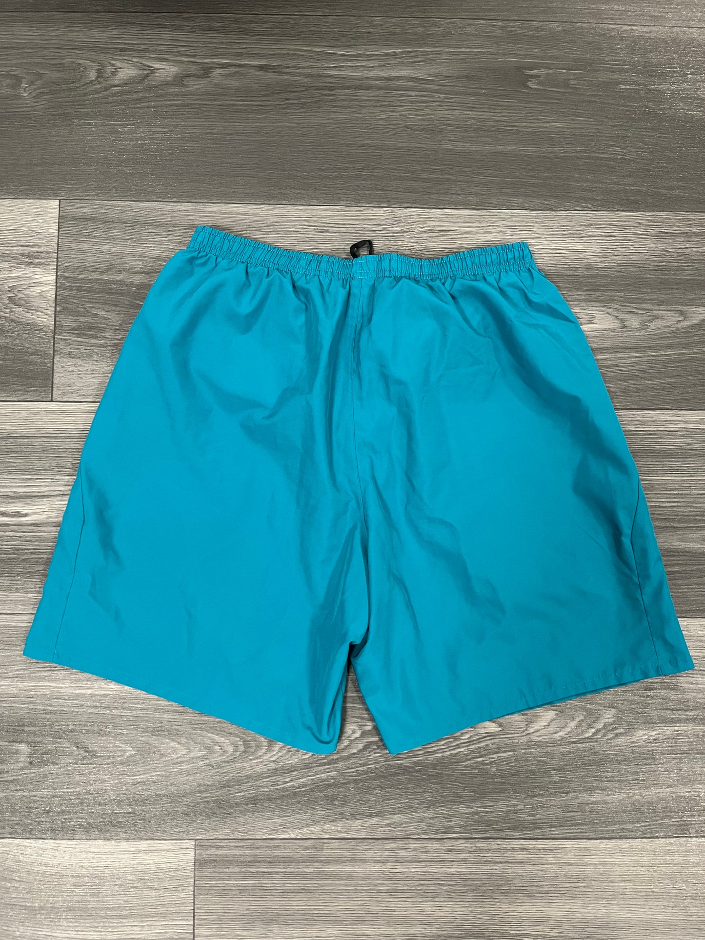 Nike Running Shorts Teal Medium 3507
