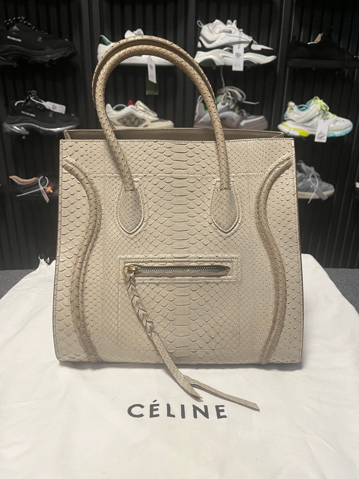 Celine Python Skin Bag 3705