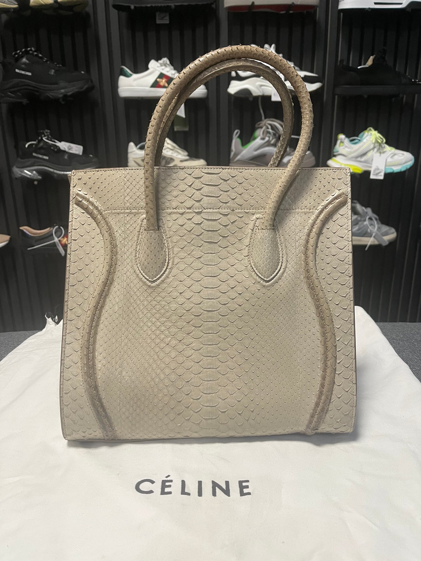 Celine Python Skin Bag 3705